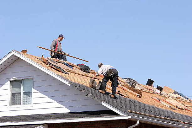 Best Cold Roofs  in Sutherland, NE
